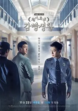 紫鸢影视题库条目A-01剧集长评提纲封面